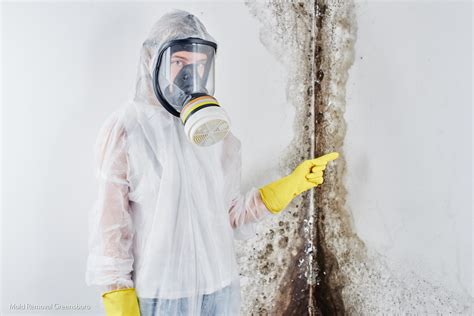 Magical Mold Removal: Tips and Tricks from the Pros